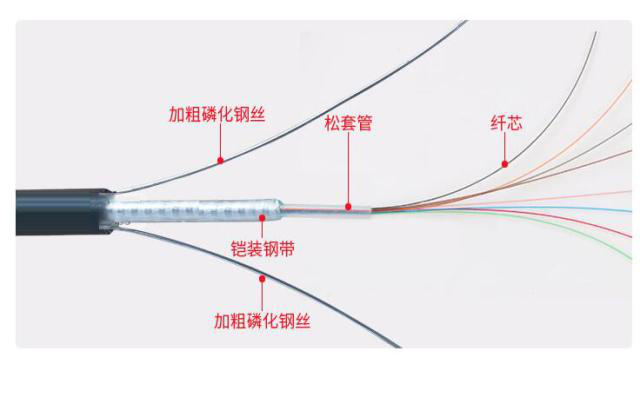 1597302992702638.png 圖片1.png