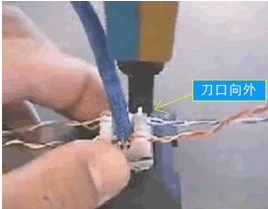1614848503598436.png 圖片4.png