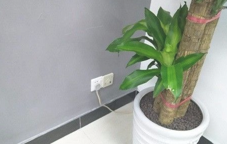 1617932326942358.png 圖片 3.png